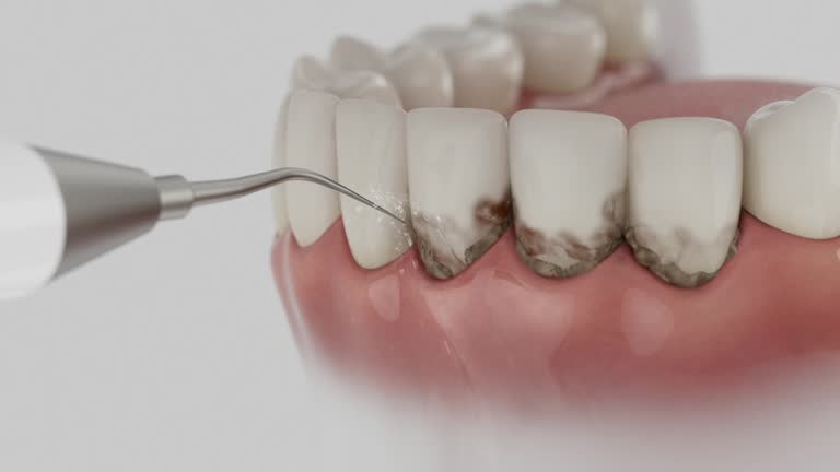 Reliable Dental contractor in Newton, KS by Dentist Open Now